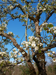 Similar image 121944