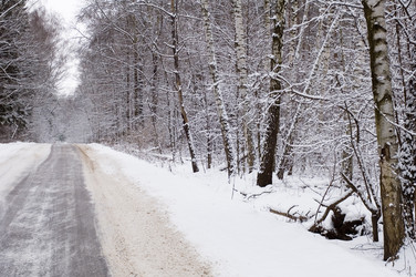 Similar image 121996