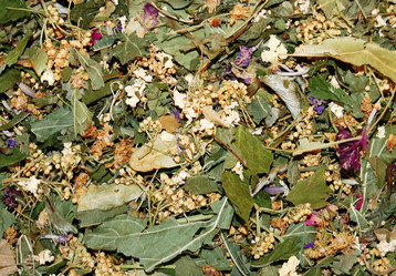 Similar image 122008