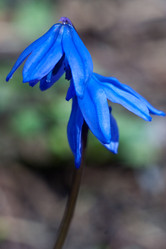 Similar image 122039