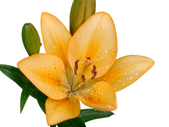 Similar image 122048