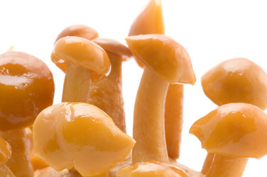 Similar image 122050