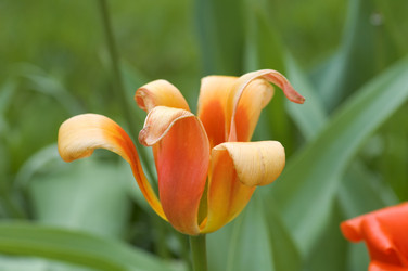 Similar image 122058