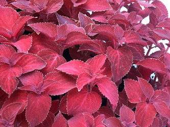 Similar image 122073