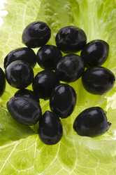 Similar image 122079