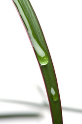 Similar image 122083