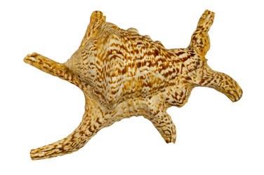 Similar image 122096