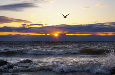 Similar image 122172