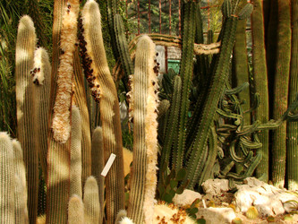 Similar image 122173