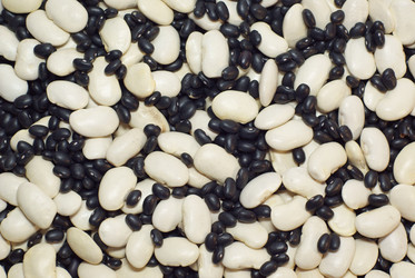 Similar image 122210