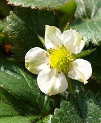 Similar image 122217