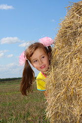 Similar image 122225