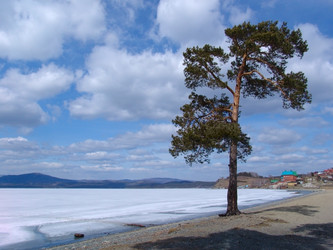 Similar image 122226