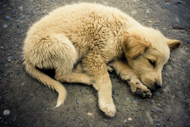 Similar image 122234