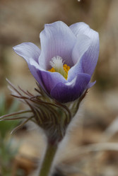 Similar image 122269