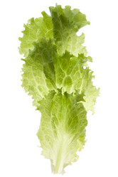 Similar image 122289