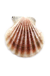 Similar image 122304