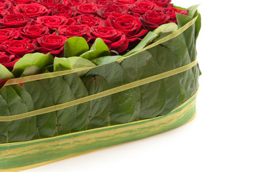 Similar image 122306