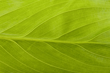 Similar image 122311