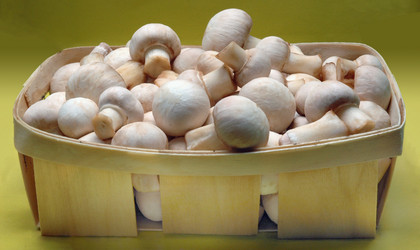 Similar image 122334