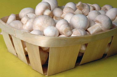 Similar image 122337