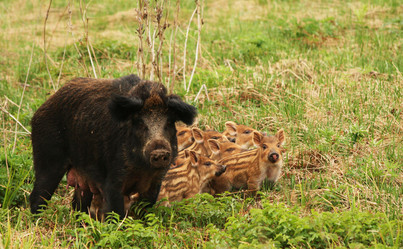 Similar image 122358