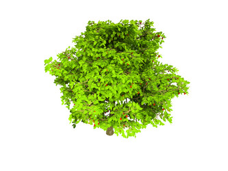 Similar image 122364