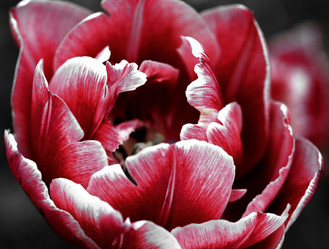 Similar image 122370