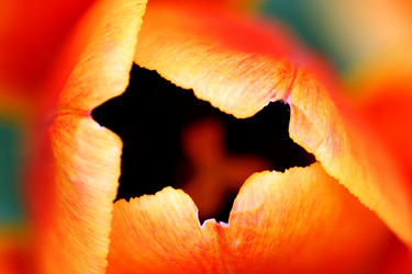 Similar image 122371