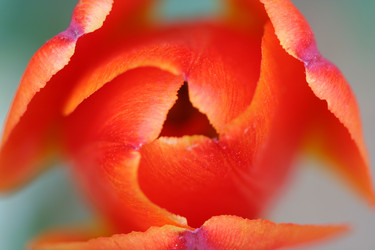 Similar image 122372