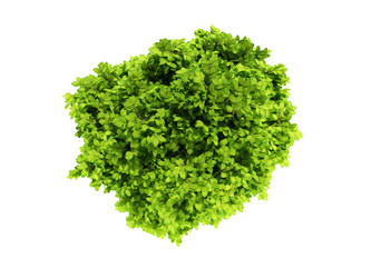 Similar image 122373