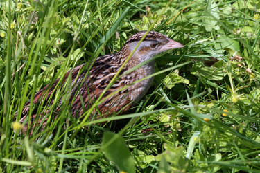 Similar image 122383