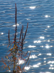 Similar image 122388