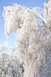 Similar image 122399