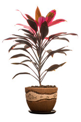Similar image 91305