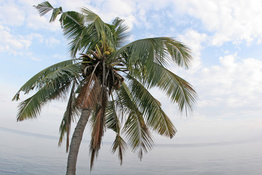 Similar image 93057