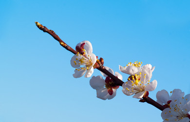 Similar image 122489