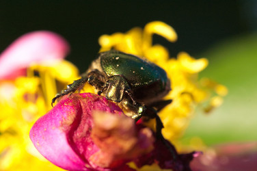 Similar image 122501