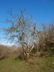 Similar image 122509