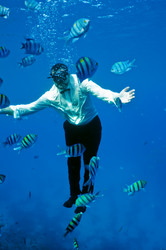 Similar image 122513