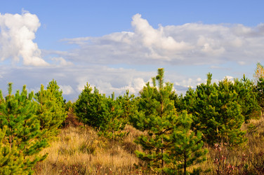 Similar image 122517