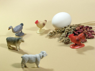 Similar image 122522