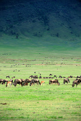 Similar image 122531