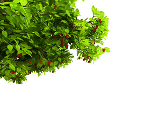 Similar image 122532