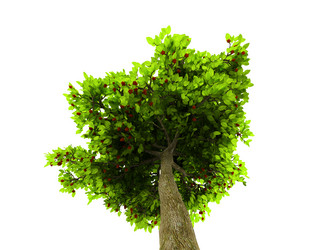 Similar image 122541