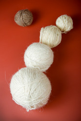 Similar image 122552