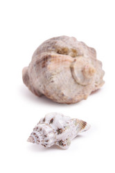 Similar image 122572