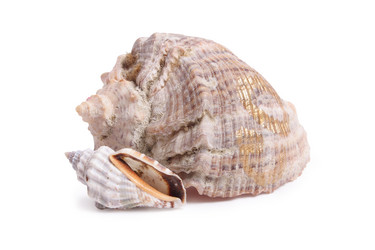 Similar image 122573