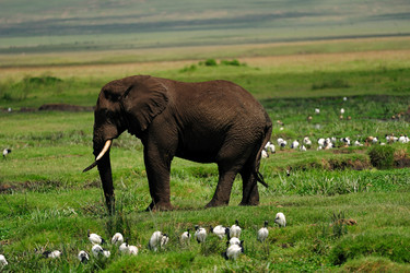 Similar image 122596