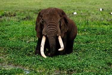 Similar image 122597